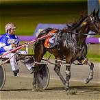 how to bet on harness racing