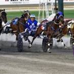 bet on harness racing